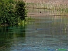 Sorgenti del Pescara 10-P1010777+.jpg